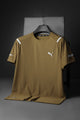 Pma Athletic Wear Imp Dry-Fit Tee In Camel