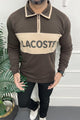 Lcste Color-Block Panel Imported Men's Sweatshirt In Coffee