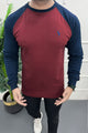 Rph Lren Raglan Pullover Round Neck Imported Men's Sweatshirt In Maroon