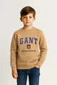 Gant Graphic TurtleNeck Imported Unisex Kids SweatShirt In Khaki